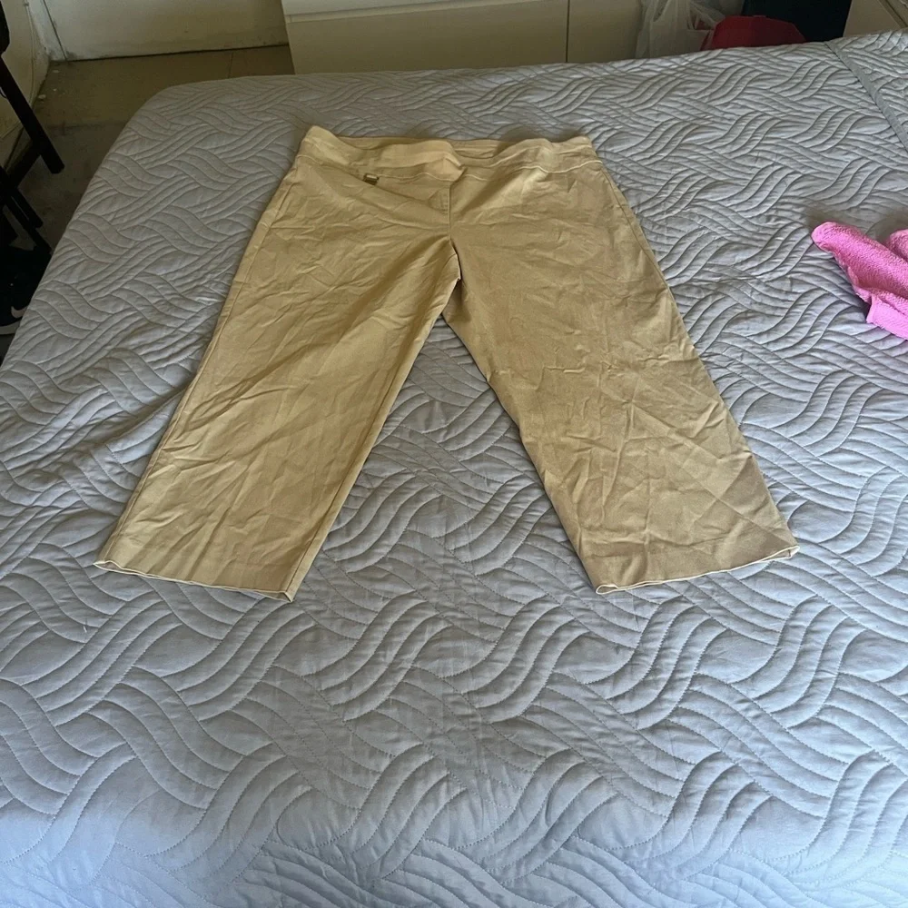Alfani stylish cropped
